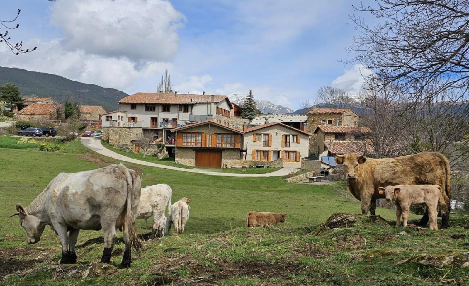 Can Tubau - Casa Rural - Apartaments Campelles Luaran gambar